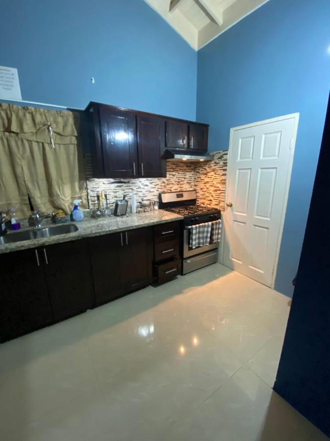 Villa Oasis Drax Hall أوشو ريوس المظهر الخارجي الصورة
